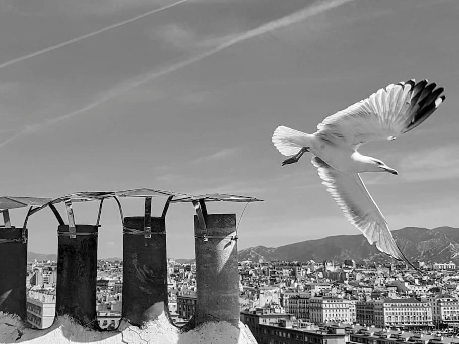 Escapade Marseillaise Pres Des Terrasses Du Port Apartment มาร์กเซย ภายนอก รูปภาพ